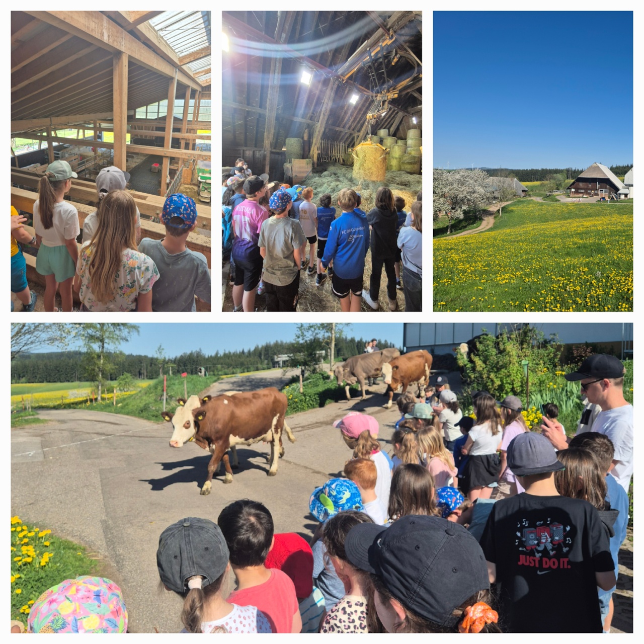 02.05.25 - Naturparkprojekt - Vom Gras zur Milch am Ettenberghof 
