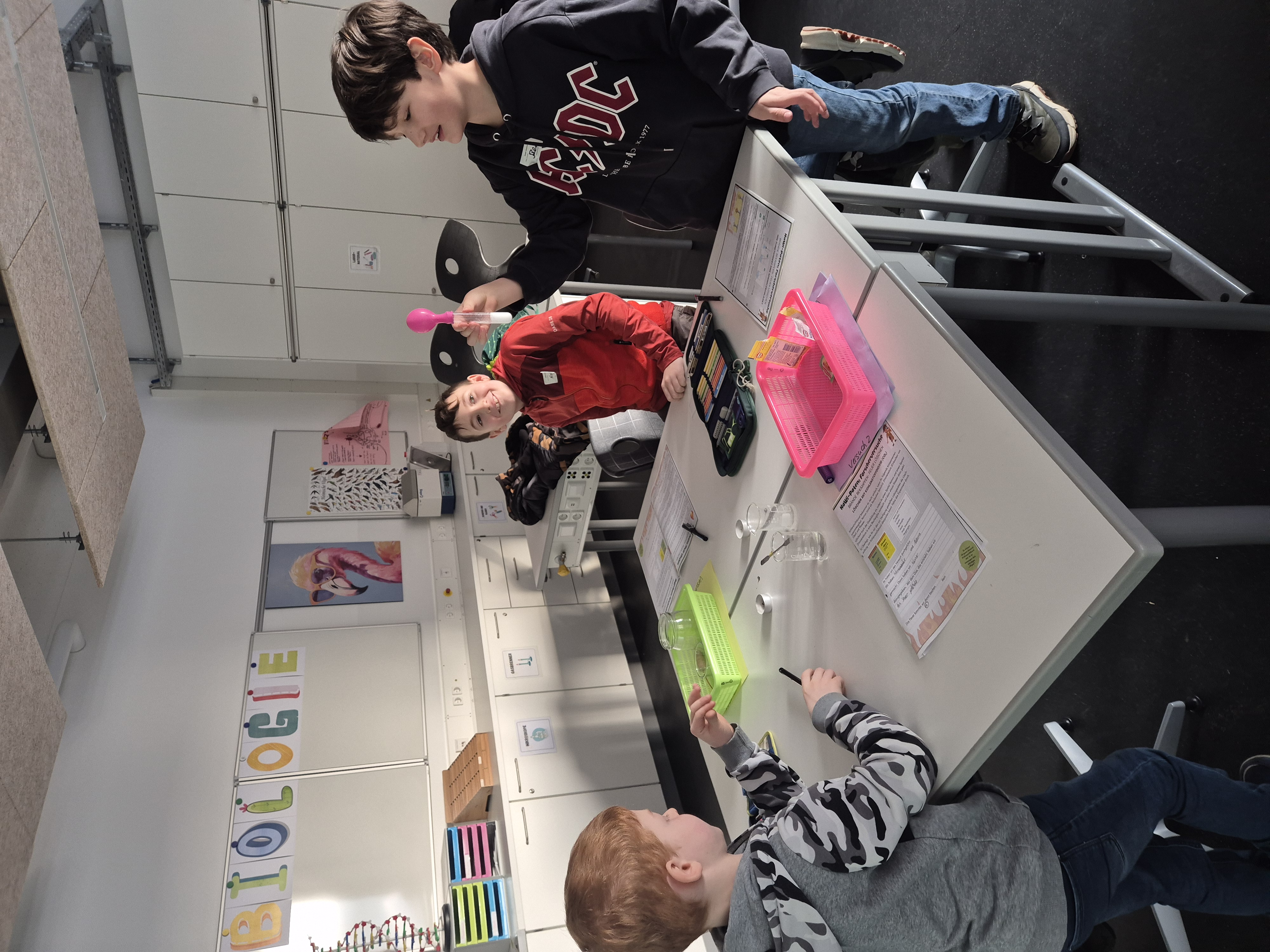 22.01.2026 - NaWi-Paten am OHG 22.01.2026 - NaWi-Paten am OHG